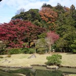 建長寺の庭