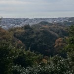 建長寺裏山からの鎌倉市街地